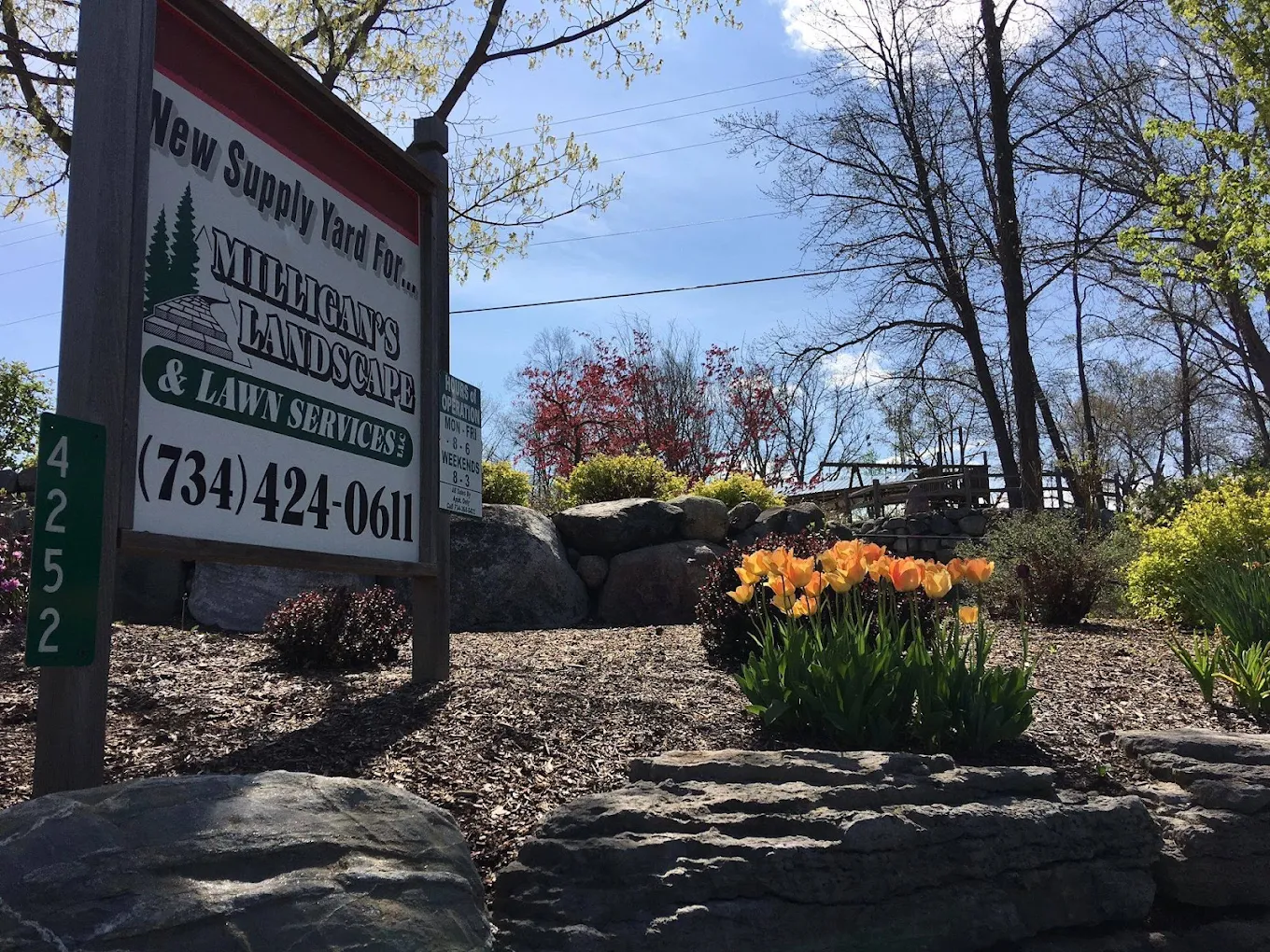Milligan's Landscape Services supply yard sign in Dexter, MI surrounded by tulips and stone